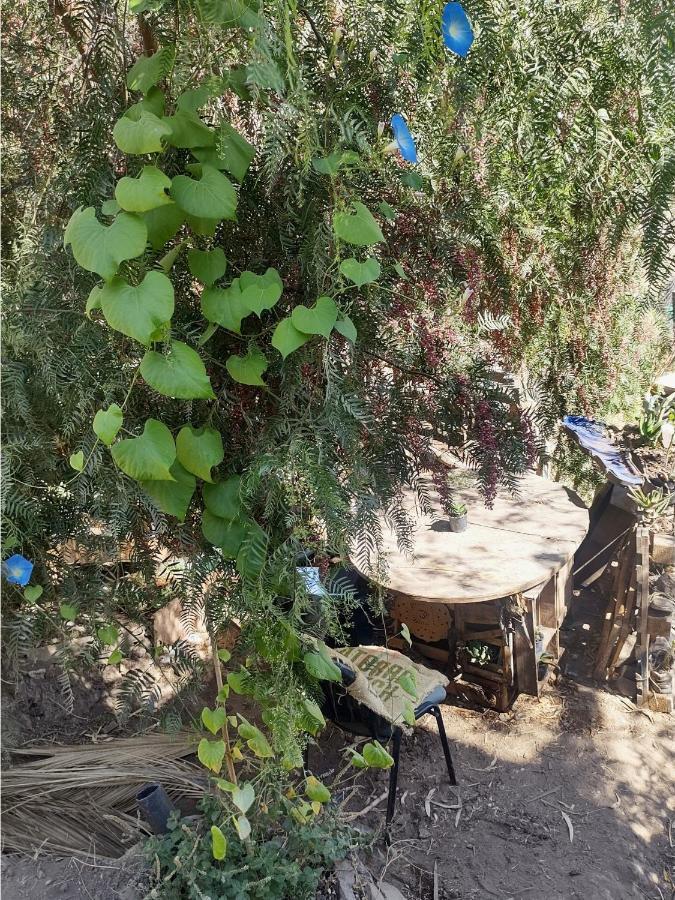 Nuevovalpo Hillside Homestay Σαντιάγκο Εξωτερικό φωτογραφία