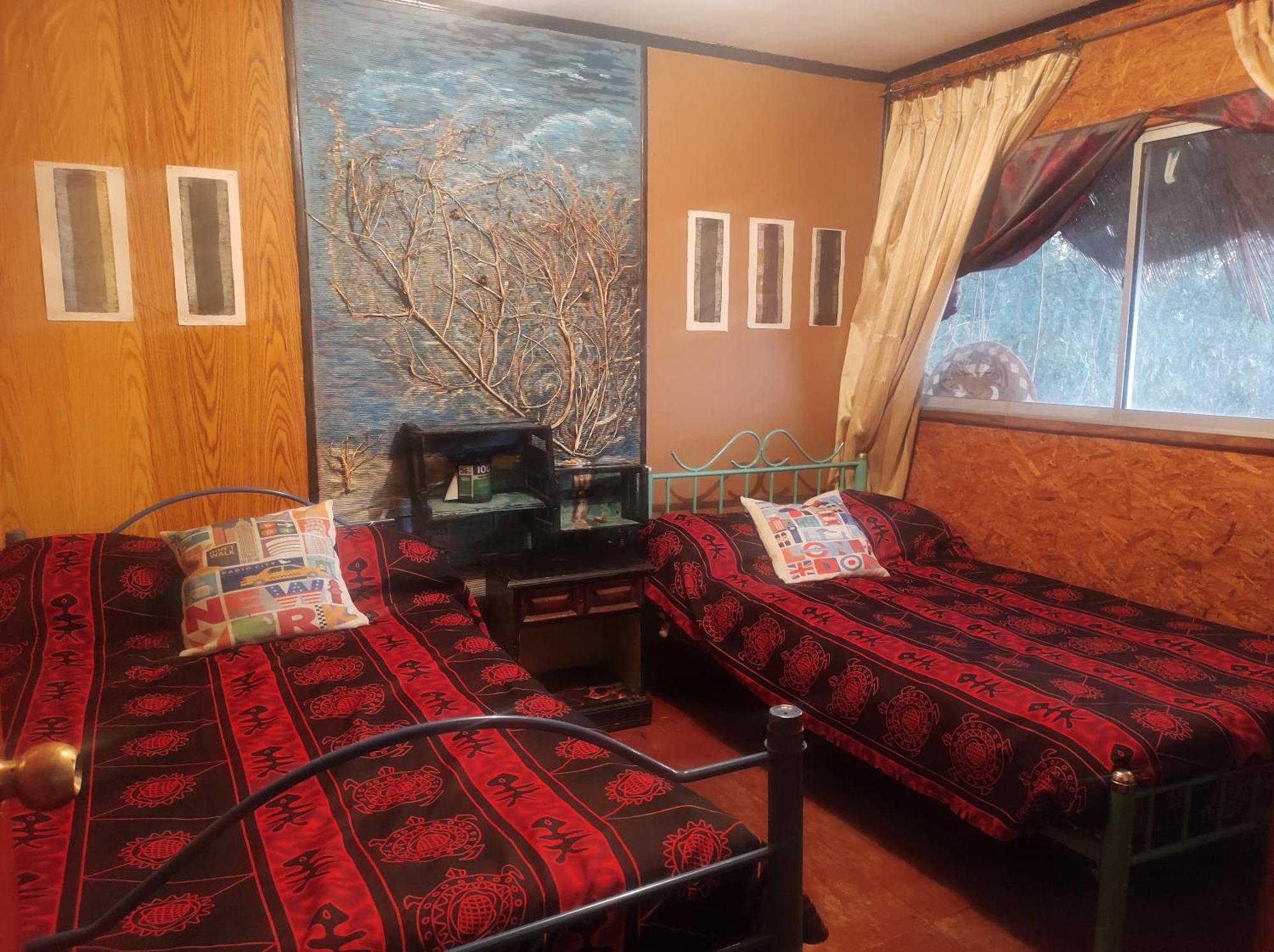 Nuevovalpo Hillside Homestay Σαντιάγκο Εξωτερικό φωτογραφία